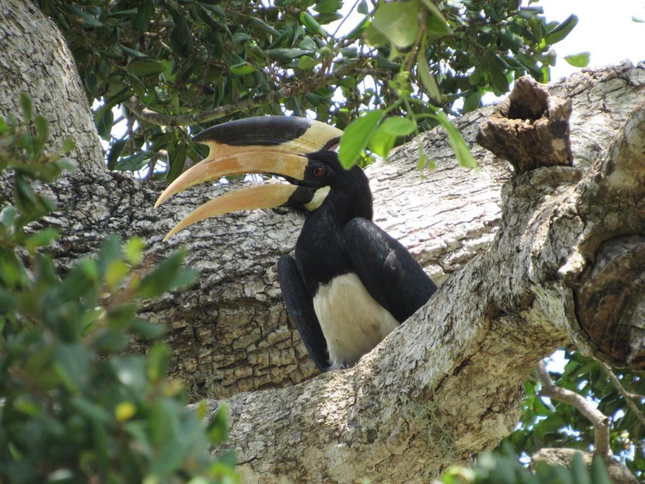 Wadula Safari - Yala Villa Kataragama Buitenkant foto