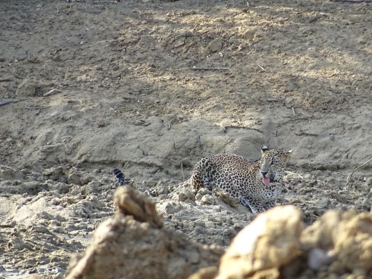 Wadula Safari - Yala Villa Kataragama Buitenkant foto
